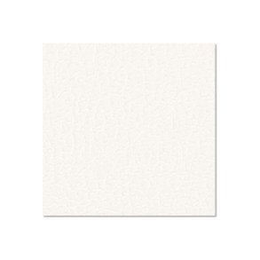 0491 G 9.4 mm birch plywood 2500 x 1250 mm with backing foil, white