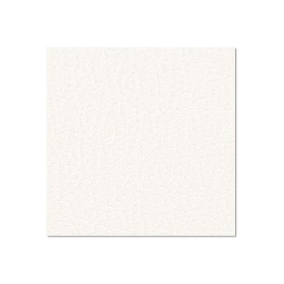 0491 G 9.4 mm birch plywood 2500 x 1250 mm with backing foil, white